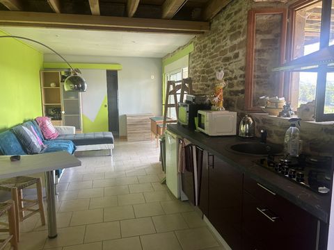photo no. 14