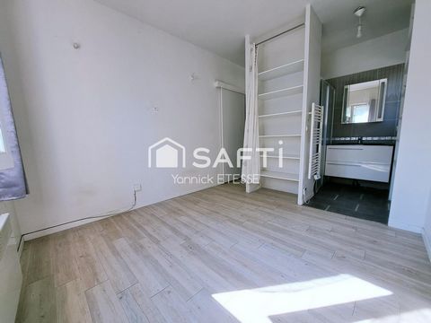 photo no. 11