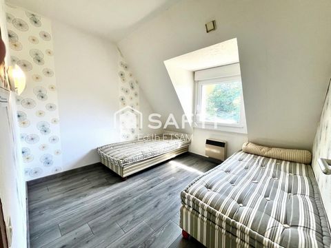 photo no. 18