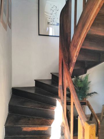 photo no. 11