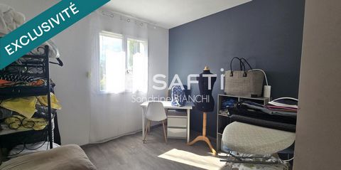 photo no. 11