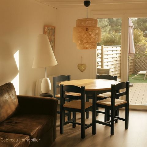 photo no. 2