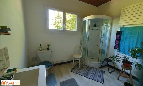 photo no. 12