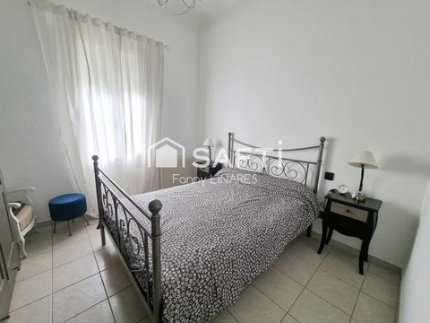 photo no. 6