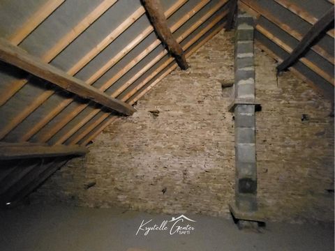 photo no. 11