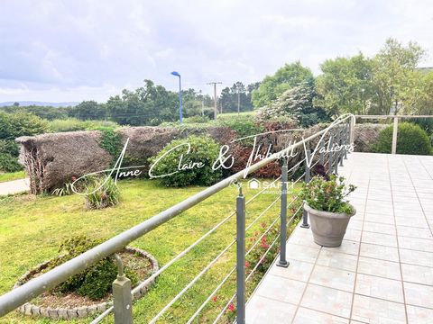 photo no. 12