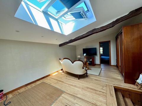 photo no. 6