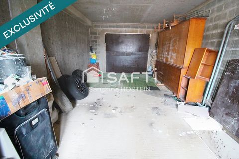 photo no. 11