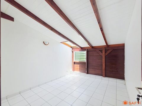 photo no. 11