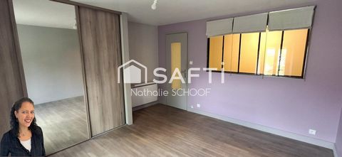 photo no. 11