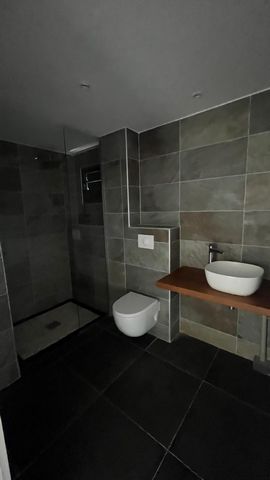photo no. 6