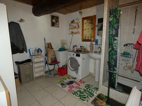 photo no. 7