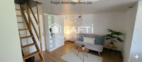 photo no. 11