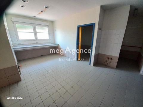 photo no. 13