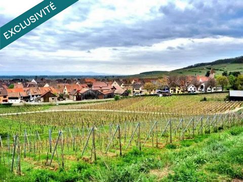 Très belle parcelle pour un collectif.