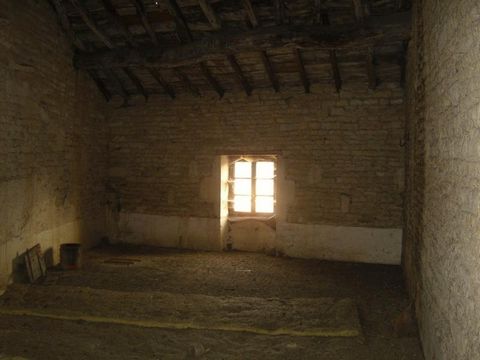 photo no. 5