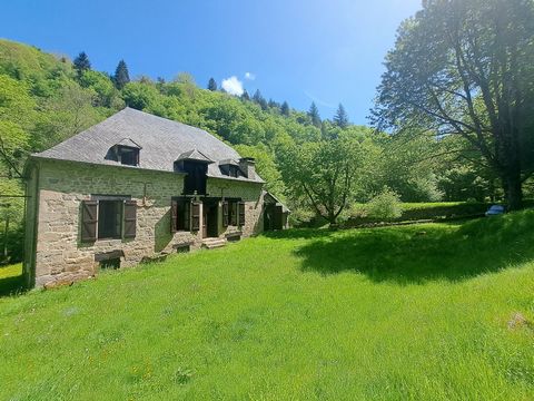 MAGNIFIQUE ANCIEN MOULIN