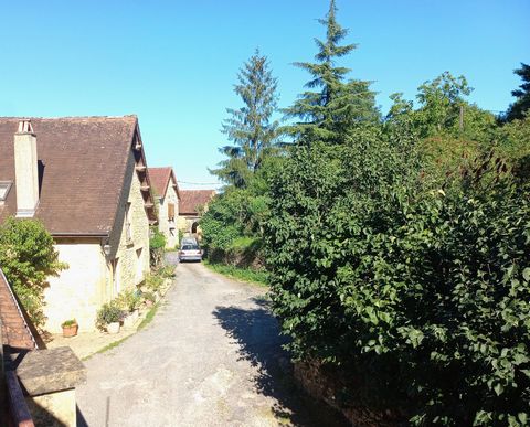 photo no. 24