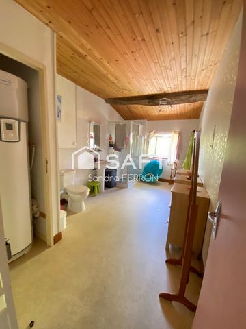photo no. 15