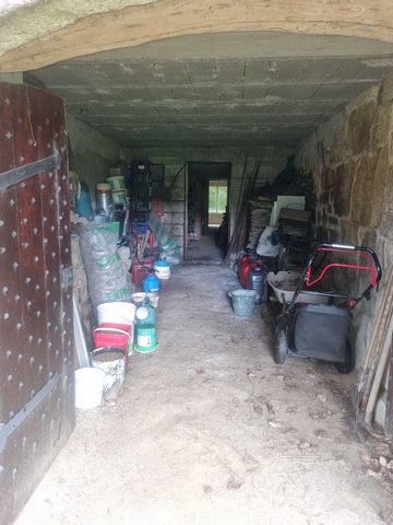 photo no. 16