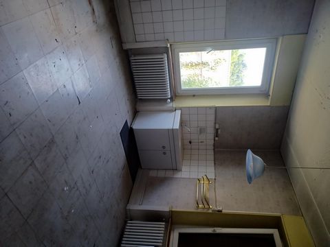 photo no. 4