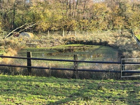 photo no. 17