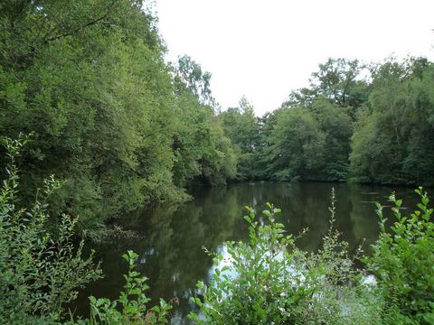 photo no. 2