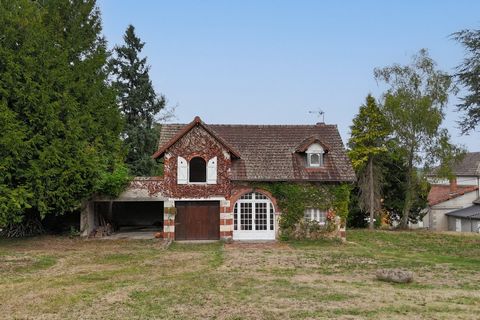 photo no. 17