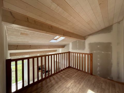 photo no. 16
