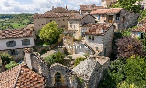 MAISON AVEC MAGNIFIQUE JARDIN ET VESTIGES HISTORIQUES À CORDES-SUR-CIEL