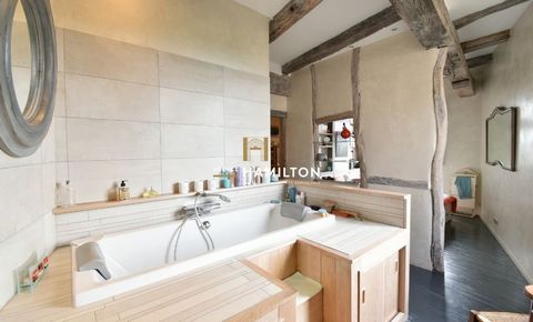 photo no. 12