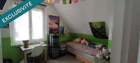 photo no. 11