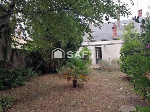 photo no. 11