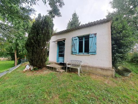 photo no. 11
