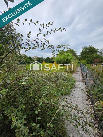 photo no. 10