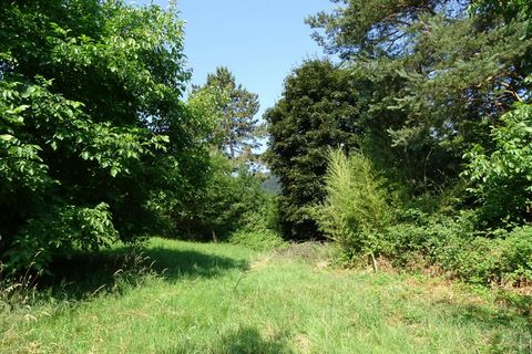 photo no. 12