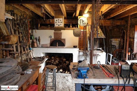 photo no. 19