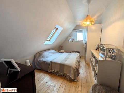 photo no. 12