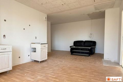 photo no. 12