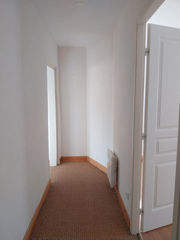 photo no. 8