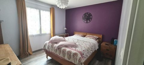 photo no. 9