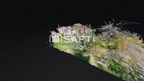 photo no. 10