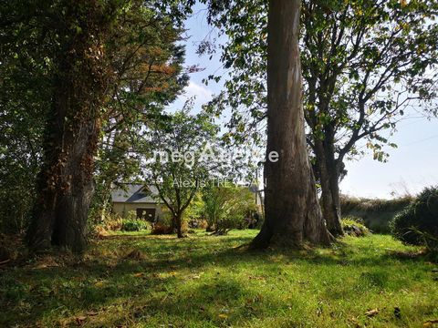 photo no. 3