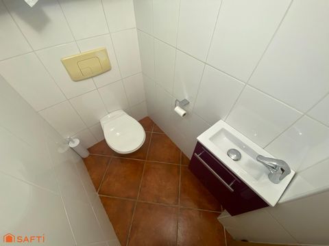 photo no. 17