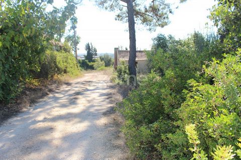 Property ID: ZMPT536904 Land with 6 hectares with a small dwelling and two wells. Well situated 5 minutes. the City of Cartaxo. Land with excellent conditions for horse breeding with a fabulous view of cartaxo city. 3 reasons to buy with Zome +follow...