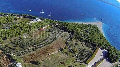 Brač, Bol, agricultural land of 1180 m2 about 200 m from the sea and the beach Zlatni Rat. In nature it is an arable vineyard. It offers a beautiful sea view. There is a road next to the land, and there are electricity and water connections nearby. T...