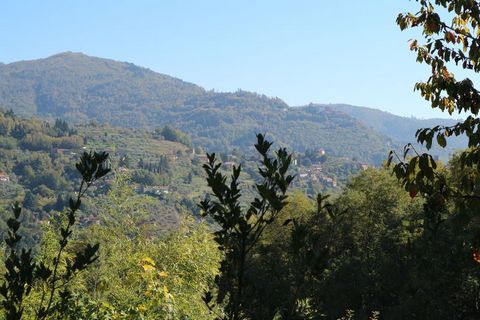 Дом находится в непосредственной близости от живописного холма города S. Квирико де Valleriana, погружаются в так называемых