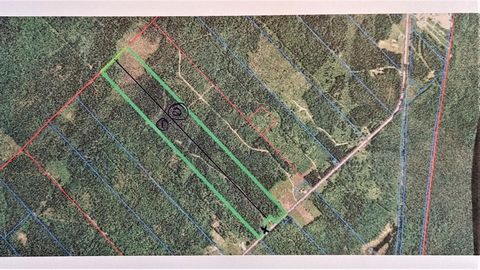 1/2 forest lot in white zone. 2,383,129 p² (54.7 acres) Construction right. (lot number 2 on the matrix) INCLUSIONS -- EXCLUSIONS --