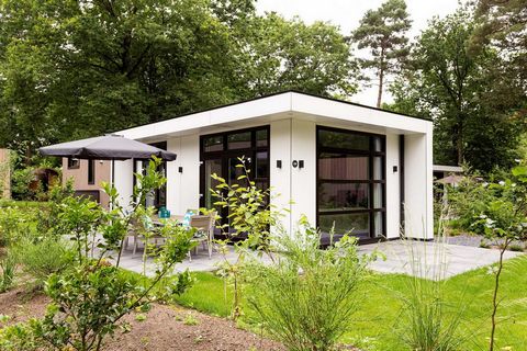 Lunteren, in the Gelderland, is the geographical center of the Netherlands. Surrounded by woods, moors and sand drifts, Lunteren is an ideal destination for lovers of tranquility, space and nature. Discover the authenticity of the Veluwe, with its sm...