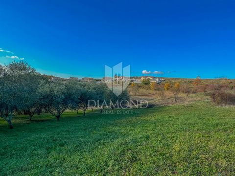Location: Istarska županija, Vižinada, Vižinada. Istria, Vižinada Building land with open views for sale in Vižinada. The land area is 635 m2. The purpose of the land is residential. Right next to the land is all the necessary infrastructure. Nearby ...